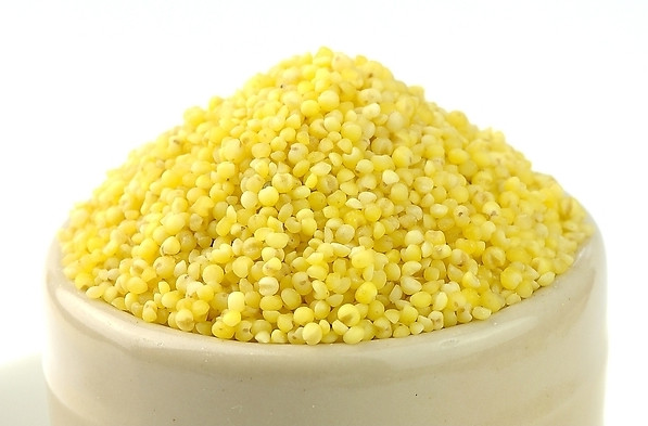 小米又称粱米,粟米,粟谷.