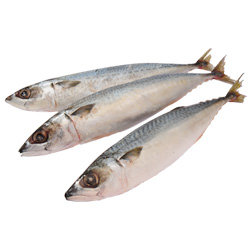 青占鱼 家易乐——新鲜到您家