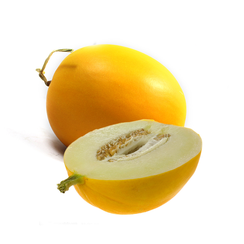 伊莉莎白(估重预定商品)