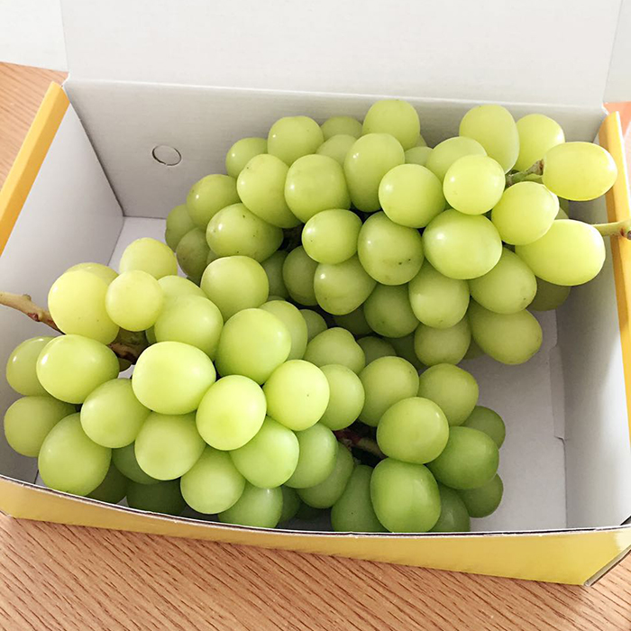 家易乐——美好生活go